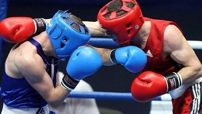 День бокса на Южном Урале отпраздновали в шести городах