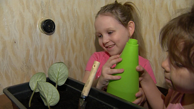 Юные челябинки выращивают цветы, чтобы помогать нуждающимся