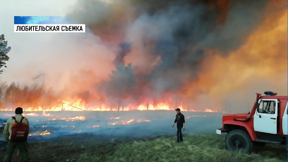 На юге области введен особый противопожарный режим