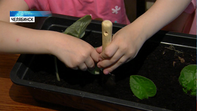 Девочки-садоводы выращивают рассаду для пожилых людей