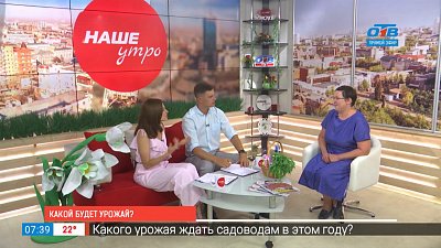 Какой будет урожай?