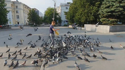 Челябинский школьник привёл на Кировку 500 голубей Челябинский школьник привёл на Кировку 500 голубей