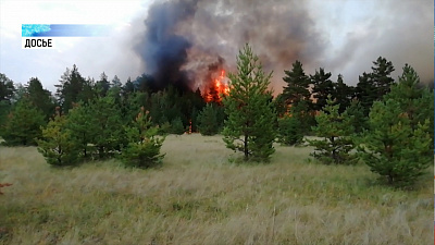 Лесничества обновят технику для борьбы с пожарами