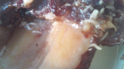 Магнитогорцы «пообедали опарышами»