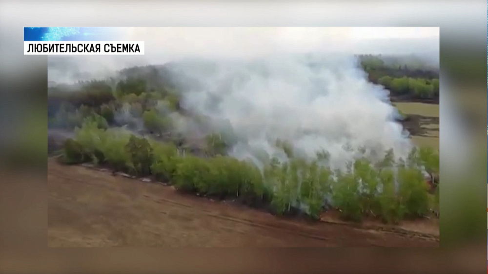 В Карталинском районе работают лесные патрули