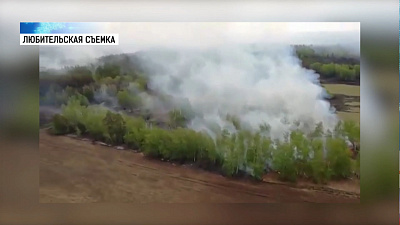 В Карталинском районе работают лесные патрули