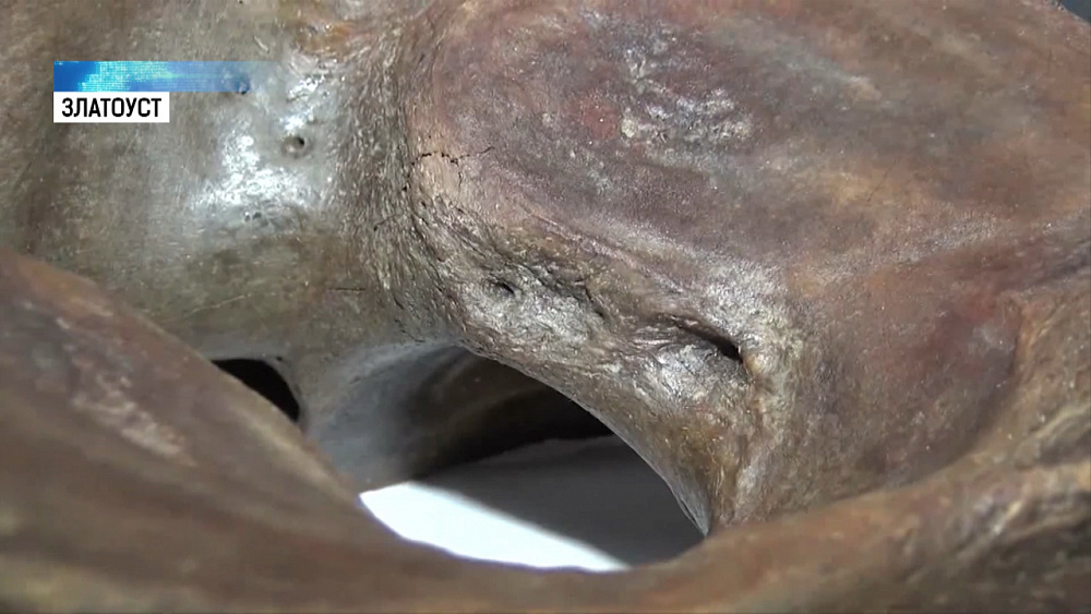 Юные поисковики из Златоуста нашли кости мамонта