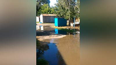 Челябинцев топят в нечистотах. ВИДЕО