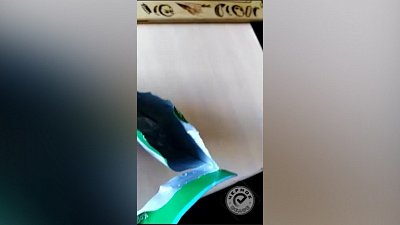 Магнитогорских кошек кормят водой