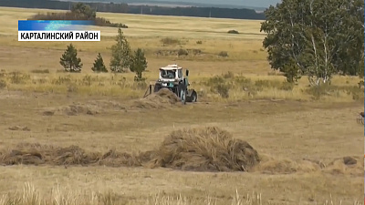 Посевы гибнут из-за засухи