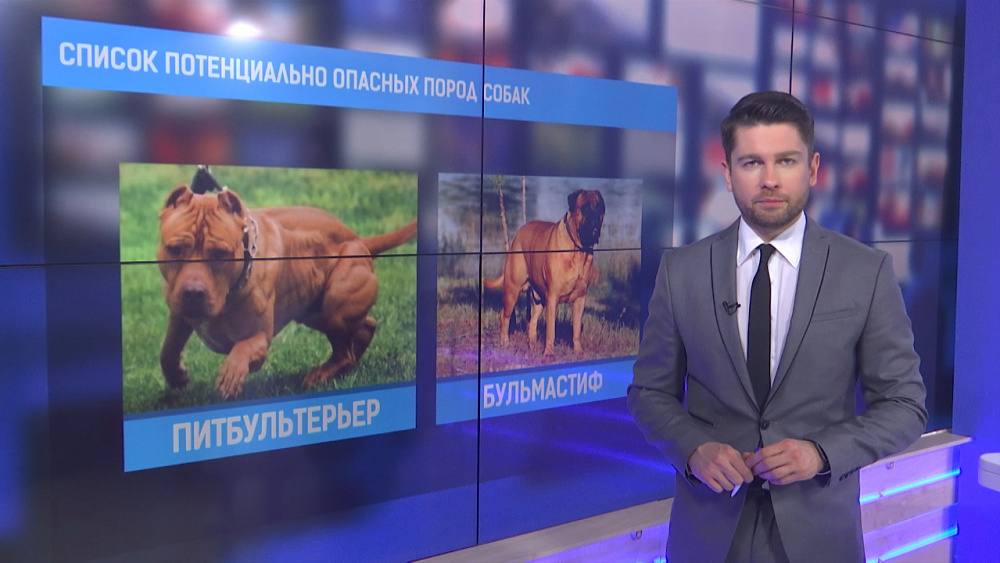 Список потенциально опасных пород собак