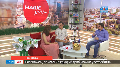 Все о грибах