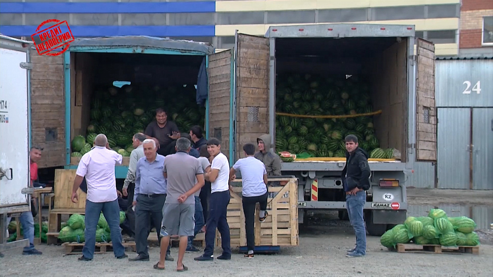 Кредит недоверия от 15.07.2019