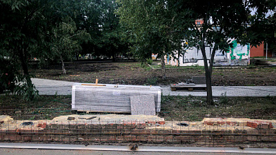 Сквер на Алом Поле, где вырубают деревья, за свой счет озеленит ландшафтная компания