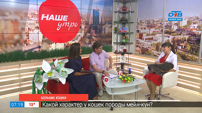 Большие кошки