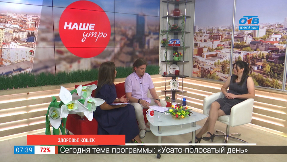 Здоровье кошек