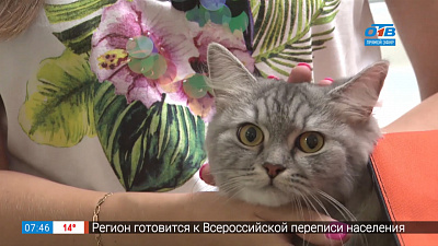 Пушистое утро — болезнь хрупких косточек