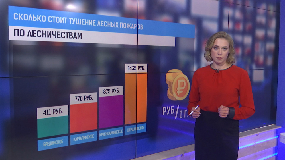 Сколько стоит тушение лесных пожаров