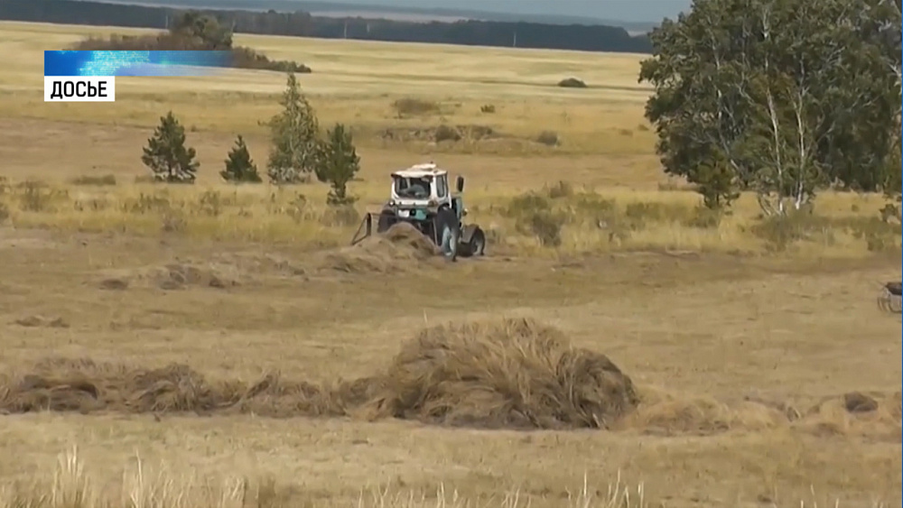 Режим ЧС из-за засухи введут еще в двух районах