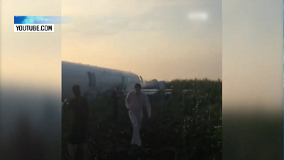В Подмосковье самолет экстренно сел на кукурузное поле