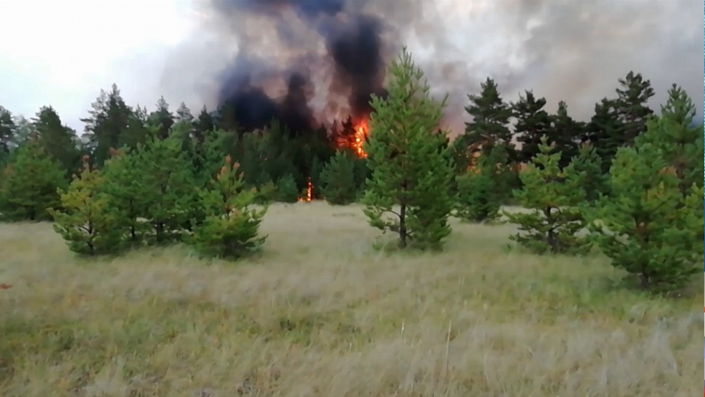 В Карталах в пожарах уничтожено около 1000 га хвойных