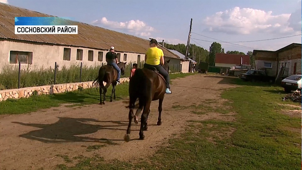 Детям с ДЦП провели сеанс иппотерапии