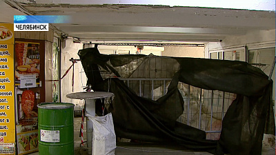 Подземные переходы арендовали незаконно