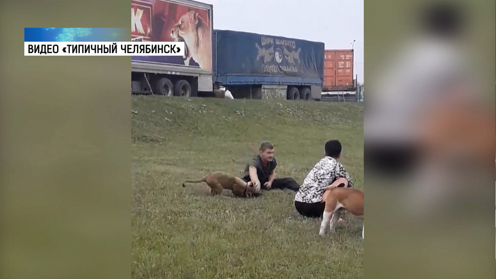 Дрессировщик устроил игры с хищником