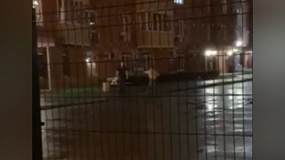 Челябинец чуть не устроил стрельбище во дворе жилого дома