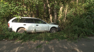 Происшествия дня 23.08.2019