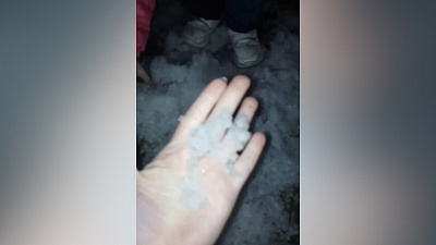 Миасское лето окончилось снегом. Видео