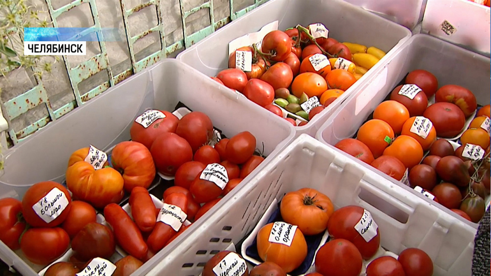 На поддержку садоводов направят 30 миллионов рублей