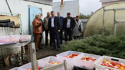 Садоводческие товарищества Челябинской области получат материальную поддержку