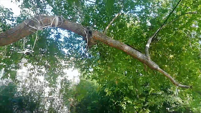 Девочку спасли от удушения на детской площадке. Видео с места событий