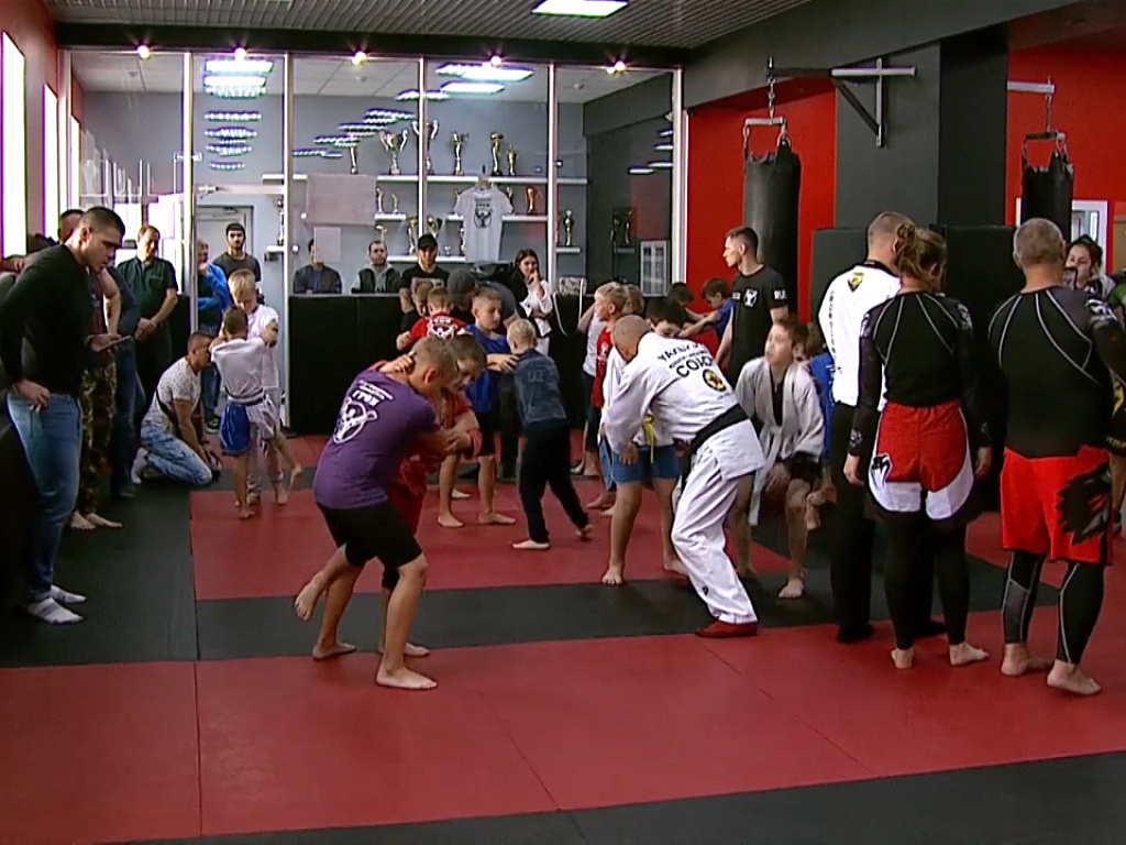 Спорт обзор видео. Трактор боксер.