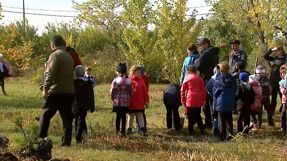 В Сосновке появилась аллея превоклассников 