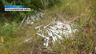 Люминесцентные лампы с ртутью бросили у дороги