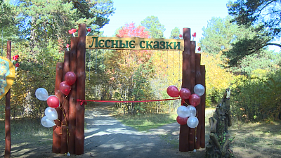В городском бору открылась экологическая тропа