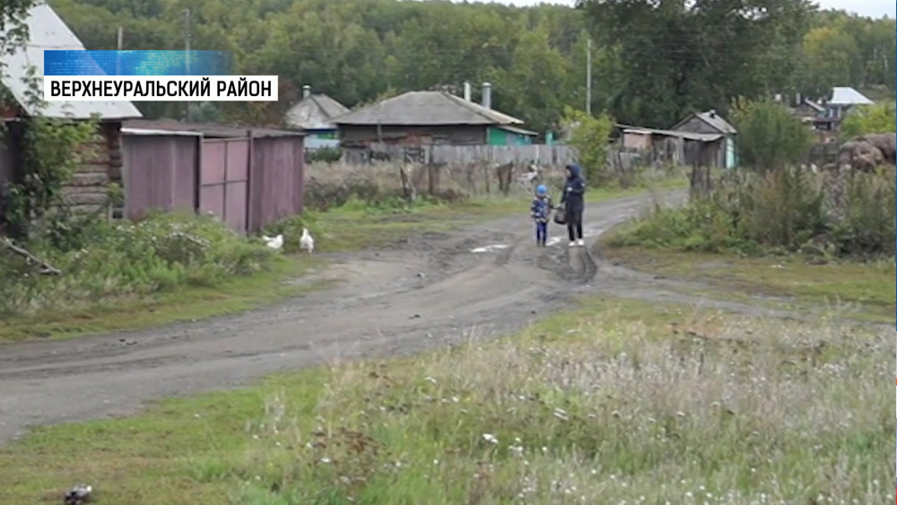 На Южном Урале вспышка бешенства животных