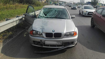 В Челябинске автомобилист сбил двух садоводов