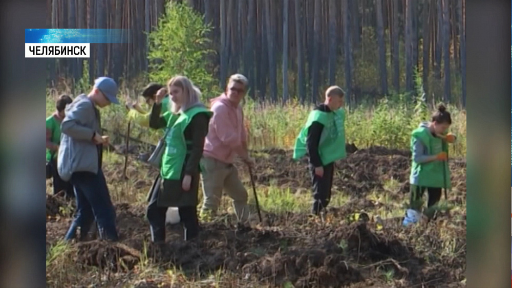 В Челябинском бору высадили новые деревья