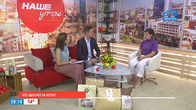 Кто щебечет на ветке?