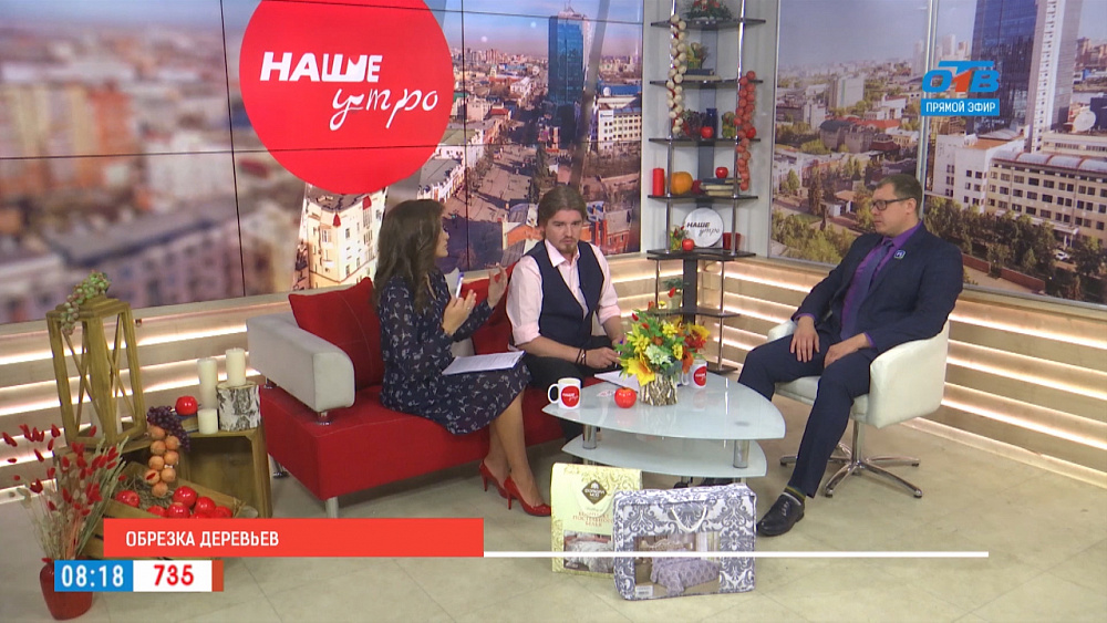 Санитарная обрезка деревьев