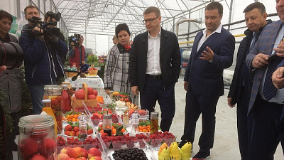 Снизить НДС на семена и саженцы планирует правительство Челябинской области