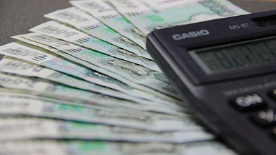 Областной парламент направил на зарплаты бюджетникам дополнительные 630 миллионов рублей