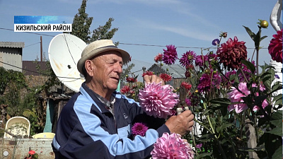 Пенсионер вырастил коллекцию из георгинов и герани