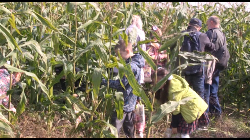 Школьникам рассказали, откуда берется молоко