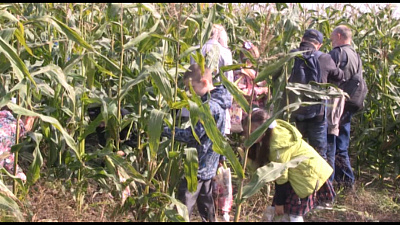 Школьникам рассказали, откуда берется молоко