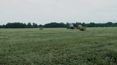 Моя деревня. Булзи