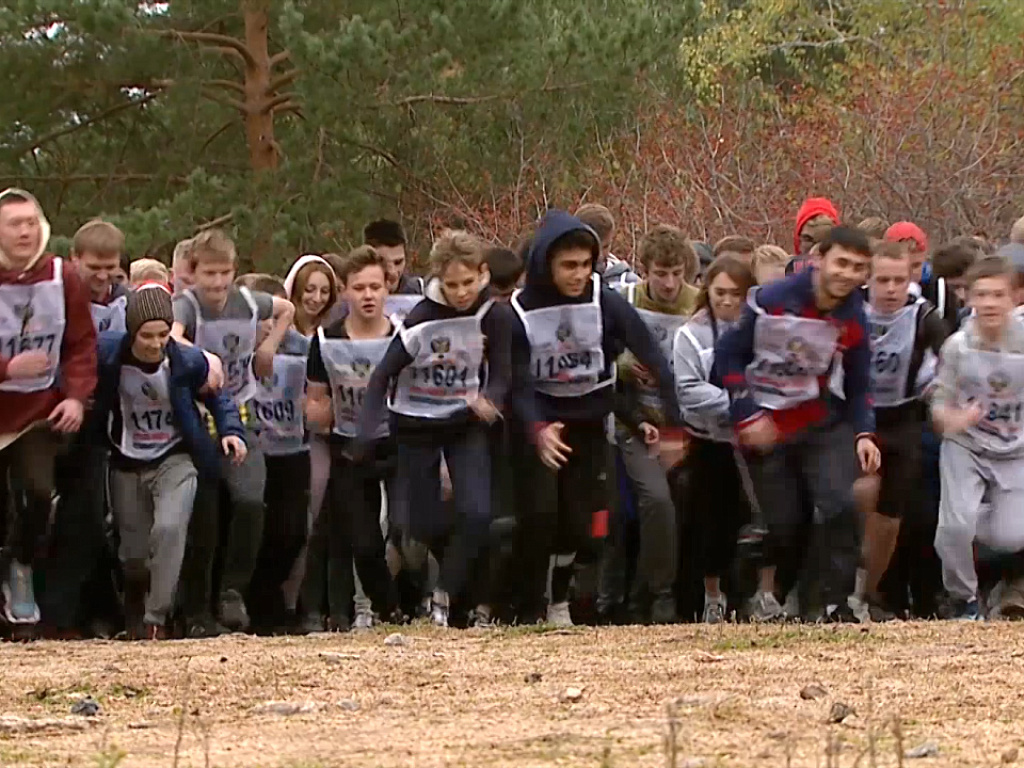 Спорт обзор видео. Состязания русский ринг 2020. 88 Спорт обзоры.